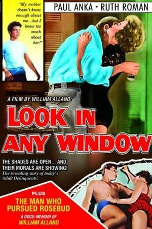 《Look in Any Window》迅雷磁力下载