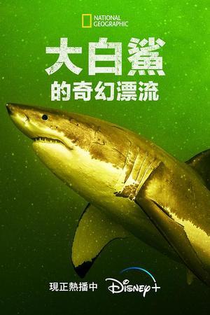 《大白鲨的奇幻漂流》迅雷磁力下载