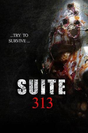 《Suite 313》封面图