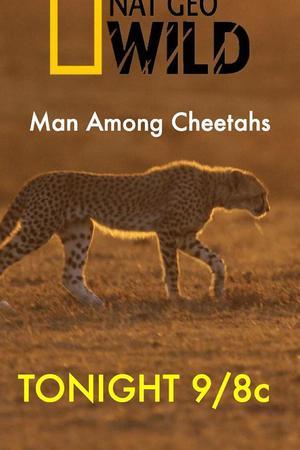 《Man Among Cheetahs》迅雷磁力下载