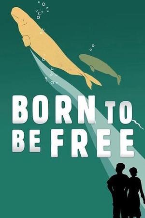 《Born to Be Free》封面图