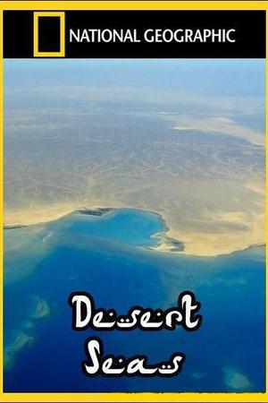 《Desert Seas》迅雷磁力下载