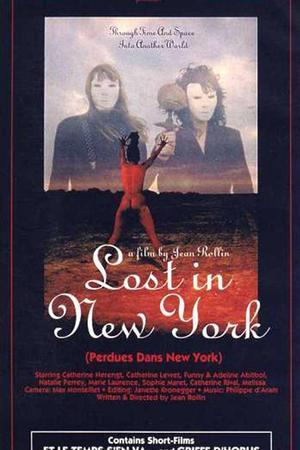 《Perdues dans New York》迅雷磁力下载