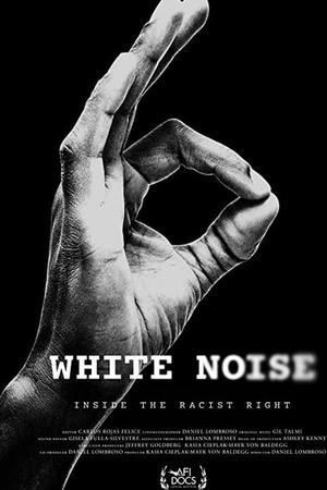 《White Noise》封面图