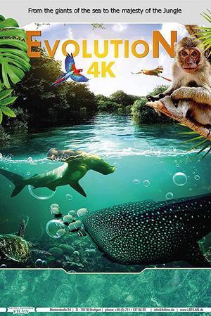 《Evolution 4K》迅雷磁力下载