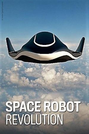 《Space Robot Revolution》迅雷磁力下载