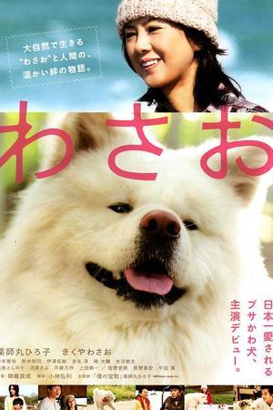 《秋田犬蓬夫》迅雷磁力下载