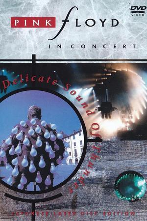 《Pink Floyd- Delicate Sound Of Thunder live 1989》迅雷磁力下载