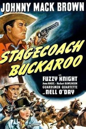 《Stagecoach Buckaroo》迅雷磁力下载