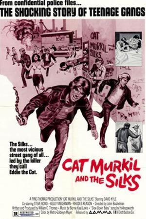 《Cat Murkil and the Silks》封面图