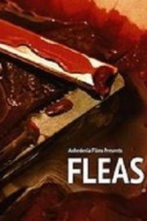 《Fleas》迅雷磁力下载