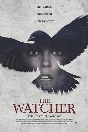 《The Watcher》迅雷磁力下载