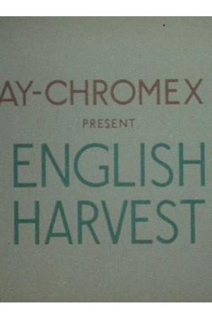 《English Harvest》封面图