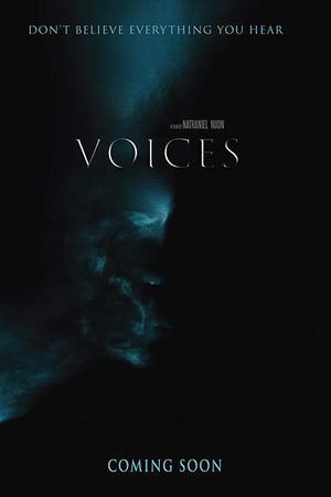 《Voices》迅雷磁力下载