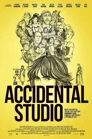 《An Accidental Studio》迅雷磁力下载