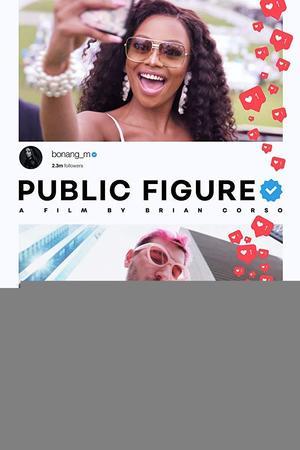 《Public Figure》迅雷磁力下载