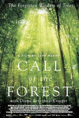 《Call of the Forest: The Forgotten Wisdom of Trees》封面图