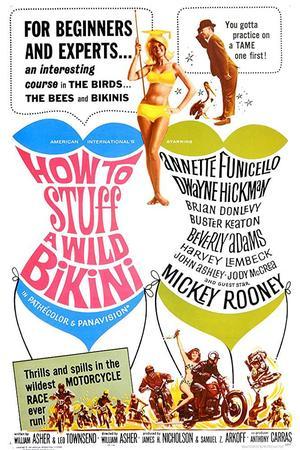 《How to Stuff a Wild Bikini》封面图