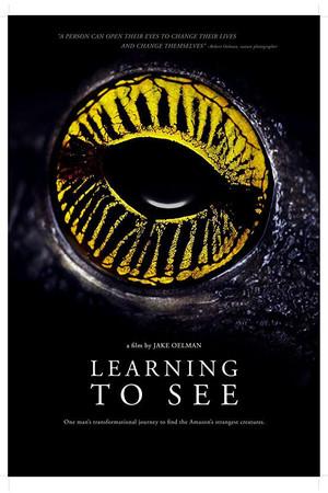 《Learning to See: The World of Insects》迅雷磁力下载