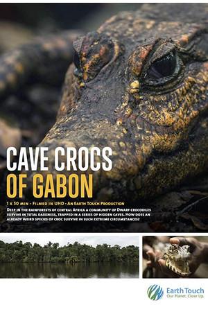 《Cave Crocs of Gabon》迅雷磁力下载