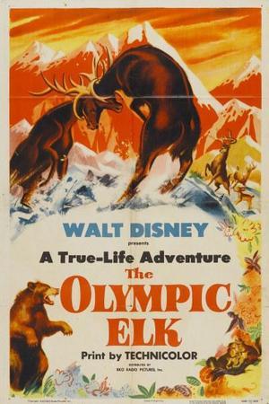 《The Olympic Elk》迅雷磁力下载