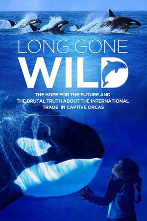 《Long Gone Wild》迅雷磁力下载