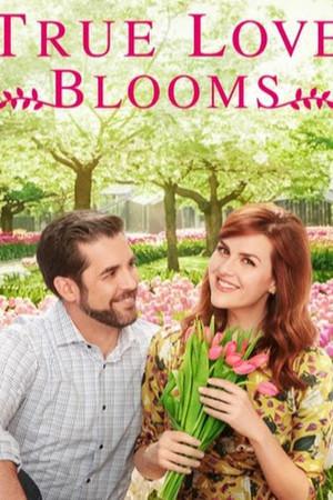 《True Love Blooms》迅雷磁力下载