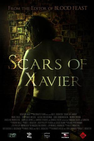 《Scars of Xavier》迅雷磁力下载