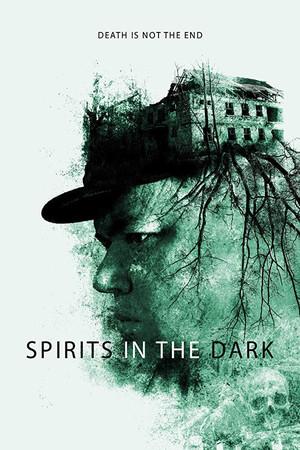 《Spirits in the Dark》封面图