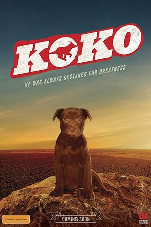 《Koko:红犬历险记》迅雷磁力下载