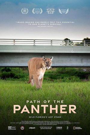 《Path Of The Panther》迅雷磁力下载