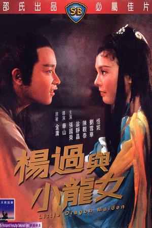 《杨过与小龙女》封面图