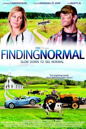 《Finding Normal》迅雷磁力下载