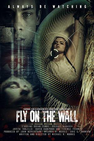 《Fly on the Wall》迅雷磁力下载