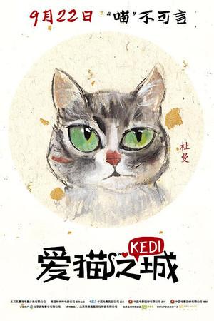 《爱猫之城》迅雷磁力下载