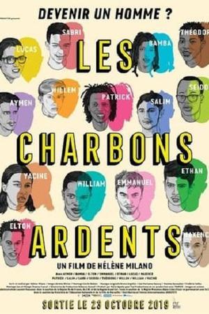 《Les charbons ardents》迅雷磁力下载