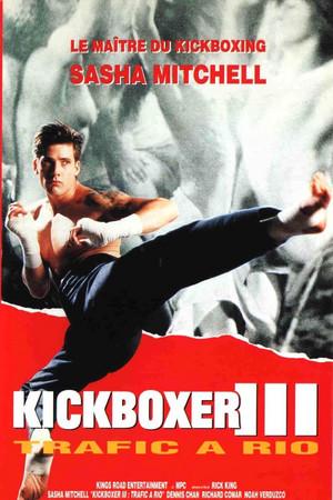 《Kickboxer 3: The Art of War》迅雷磁力下载