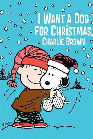 《I Want a Dog for Christmas, Charlie Brown》迅雷磁力下载