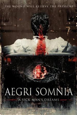 《Aegri Somnia》迅雷磁力下载