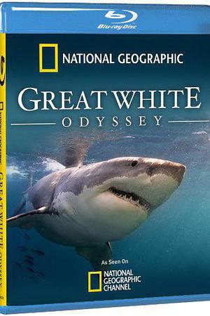 《Great White Odyssey》迅雷磁力下载