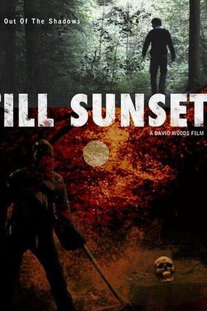 《Till Sunset》封面图