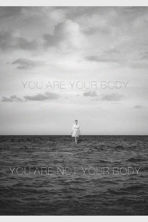 《You Are Your Body/You Are Not Your Body》迅雷磁力下载