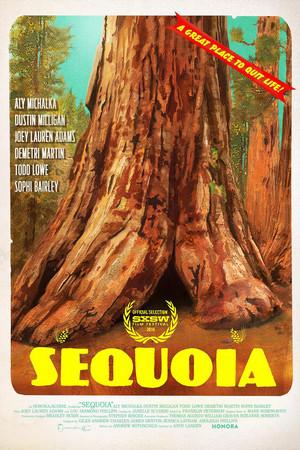 《Sequoia》封面图