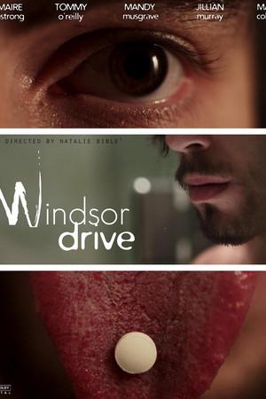 《Windsor Drive》封面图