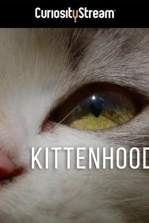 《Kittenhood》迅雷磁力下载