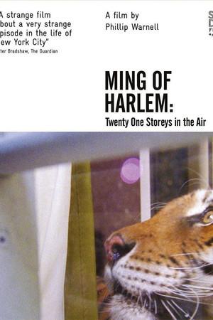 《Ming of Harlem: Twenty One Storeys in the Air》迅雷磁力下载