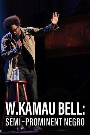 《W. Kamau Bell: Semi-Promenint Negro》封面图