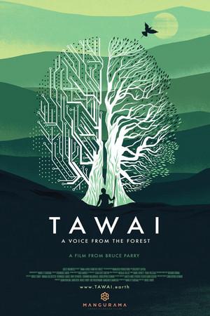 《Tawai: A voice from the forest》迅雷磁力下载