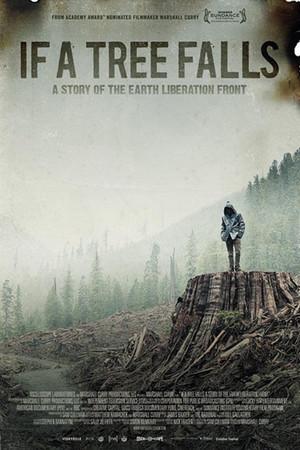 《如果树倒下：一个地球解放阵线的故事》迅雷磁力下载