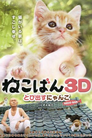 《小猫跳出来3D》迅雷磁力下载